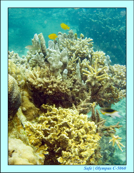 2008 - 07 - Perhentian - 013